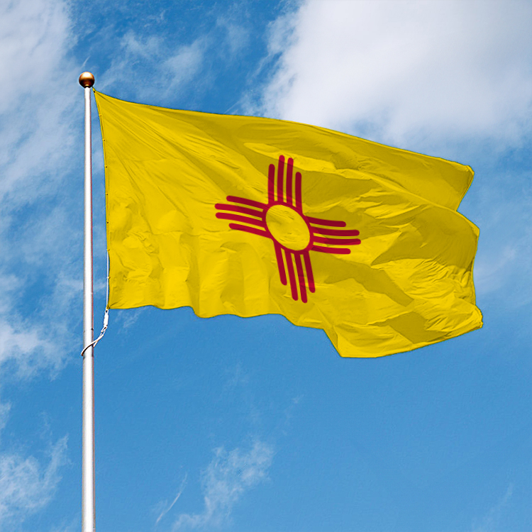 New Mexico State Flag